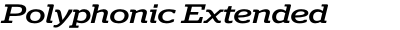 Polyphonic Extended Medium Italic